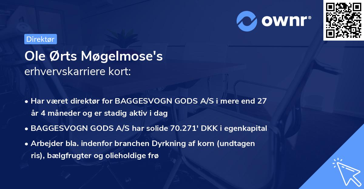 Ole Ørts Møgelmose's erhvervskarriere kort