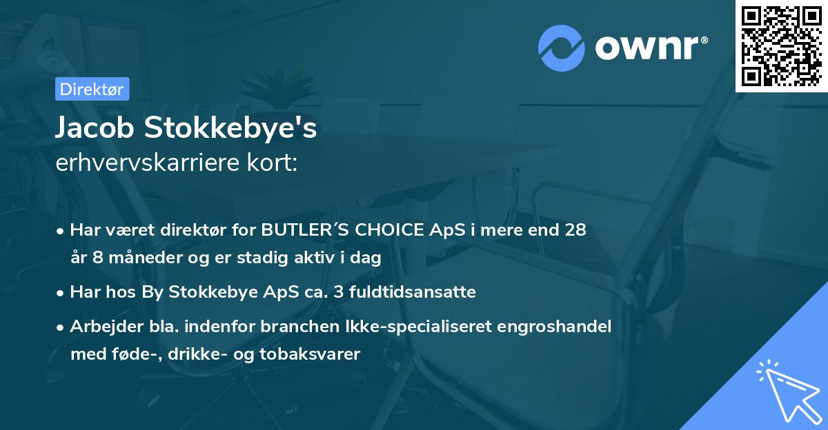 Jacob Stokkebye's erhvervskarriere kort