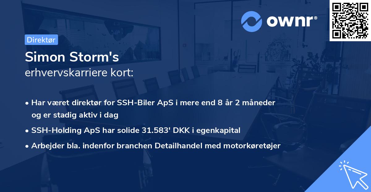 Simon Storm's erhvervskarriere kort