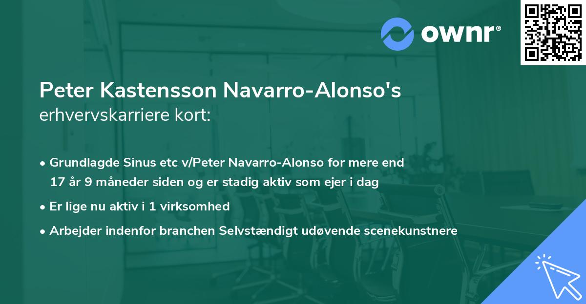 Peter Kastensson Navarro-Alonso's erhvervskarriere kort