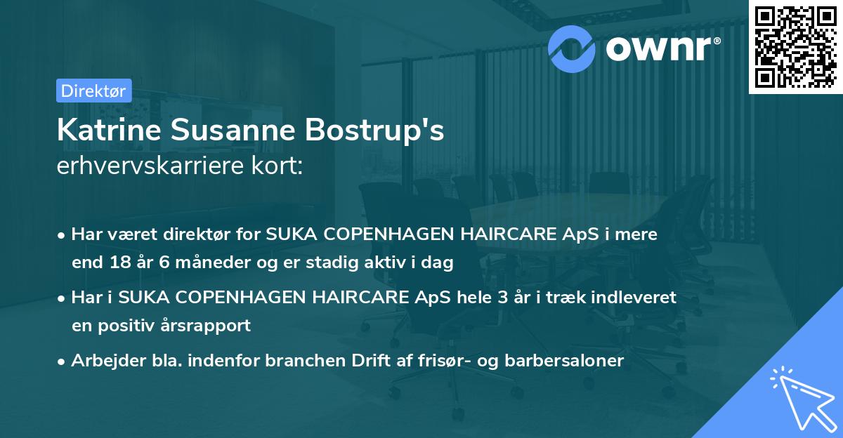 Katrine Susanne Bostrup's erhvervskarriere kort