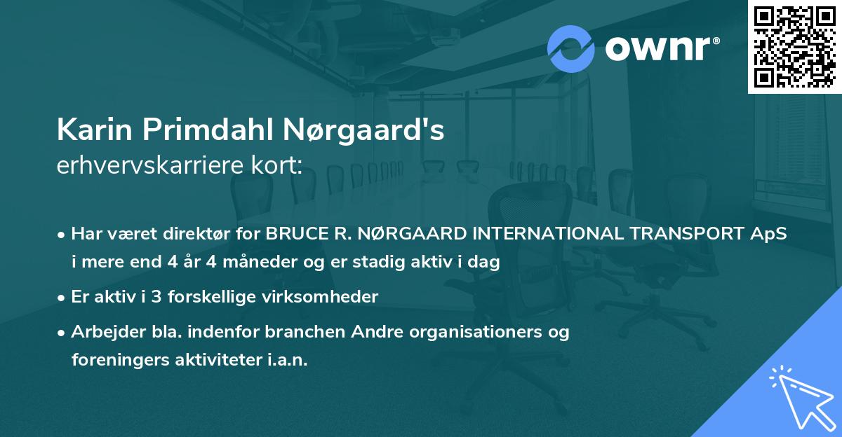 Karin Primdahl Nørgaard's erhvervskarriere kort