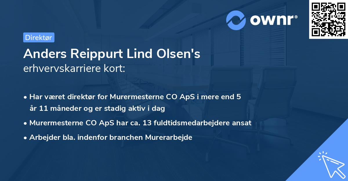 Anders Reippurt Lind Olsen's erhvervskarriere kort