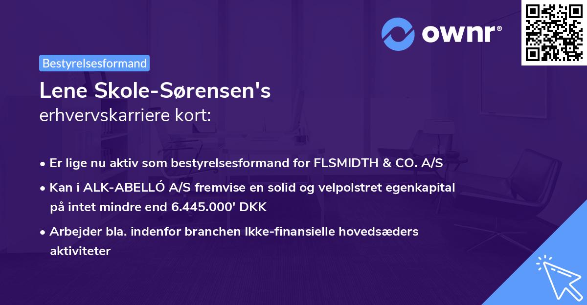 Lene Skole-Sørensen's erhvervskarriere kort