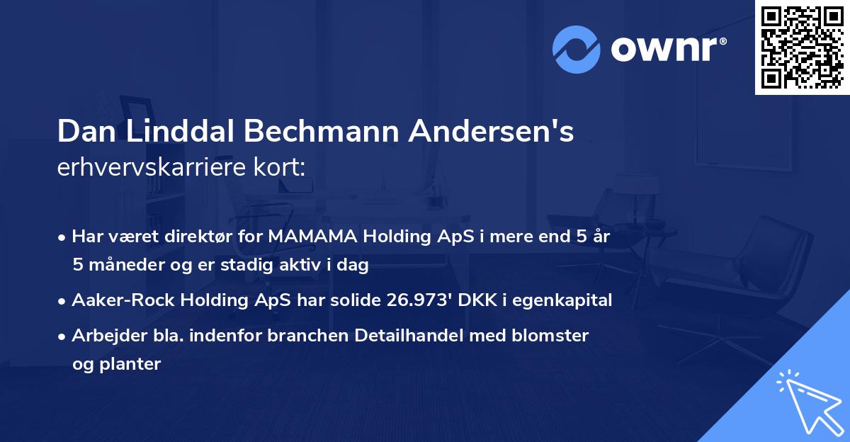 Dan Linddal Bechmann Andersen's erhvervskarriere kort