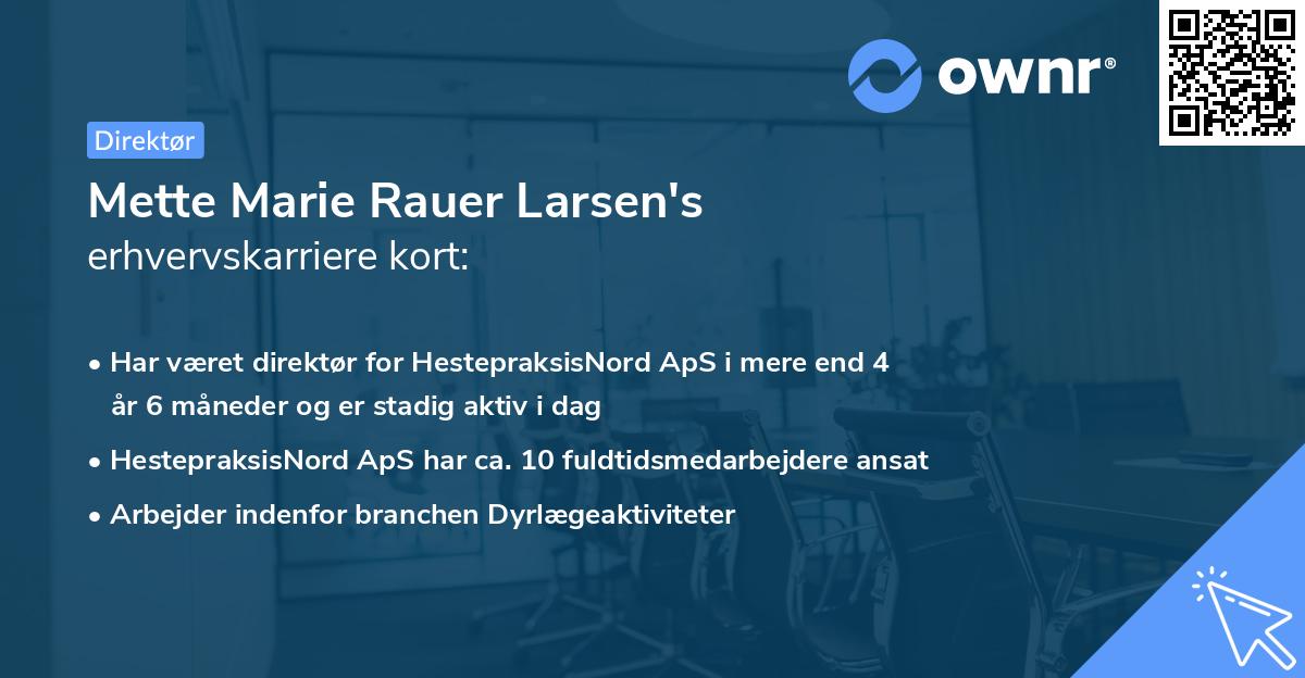 Mette Marie Rauer Larsen's erhvervskarriere kort