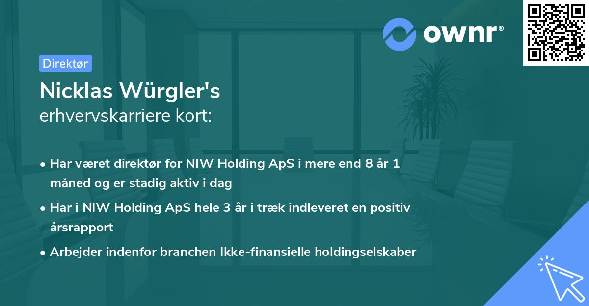 Nicklas Würgler's erhvervskarriere kort