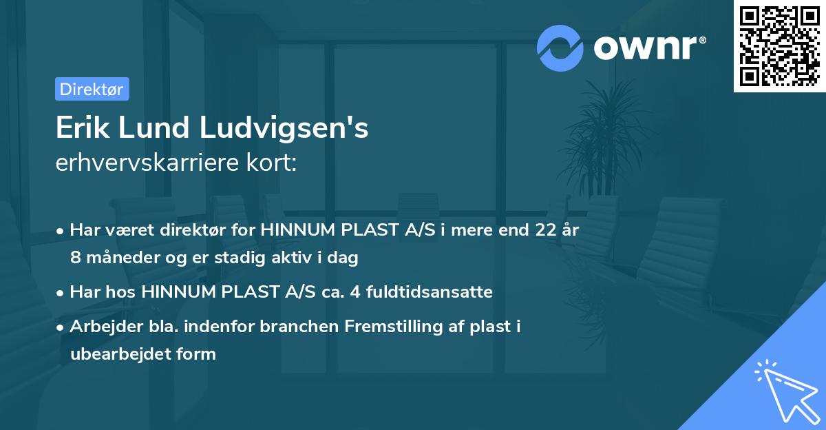 Erik Lund Ludvigsen's erhvervskarriere kort