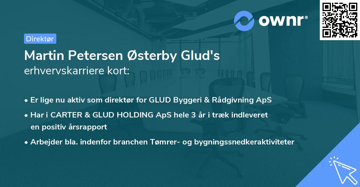 Martin Petersen Østerby Glud's erhvervskarriere kort