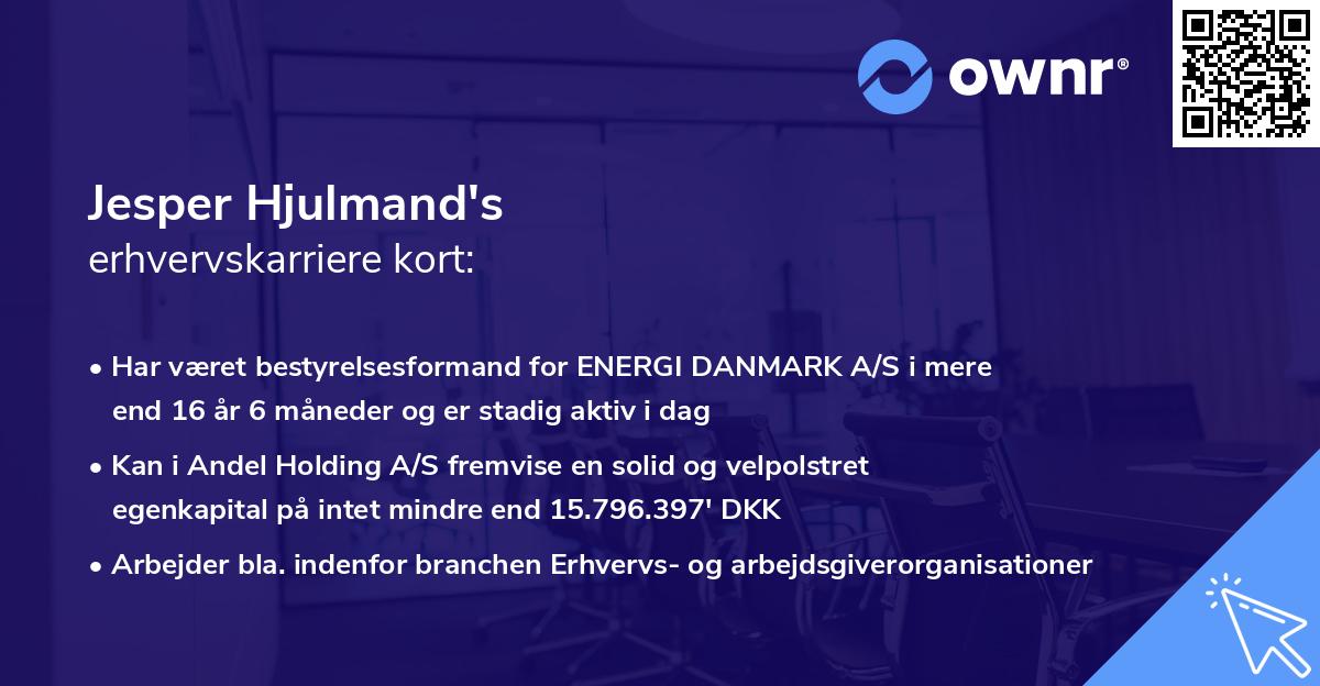 Jesper Hjulmand's erhvervskarriere kort