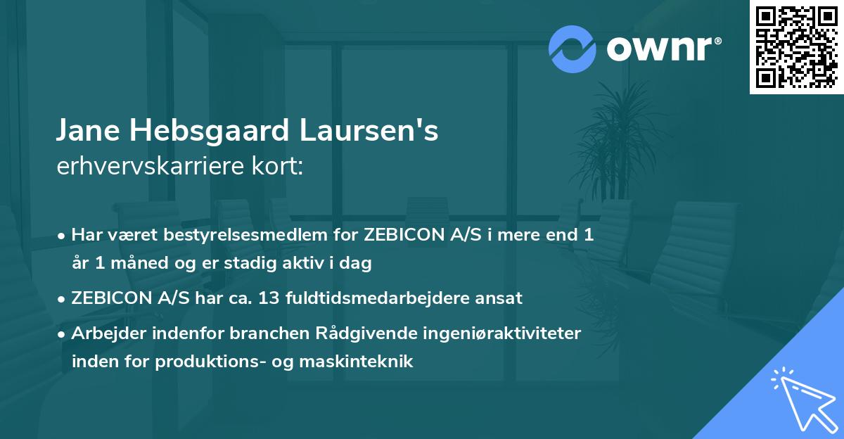 Jane Hebsgaard Laursen's erhvervskarriere kort