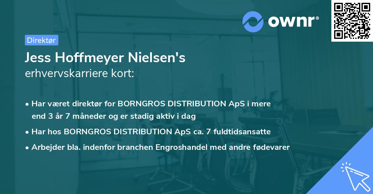 Jess Hoffmeyer Nielsen's erhvervskarriere kort