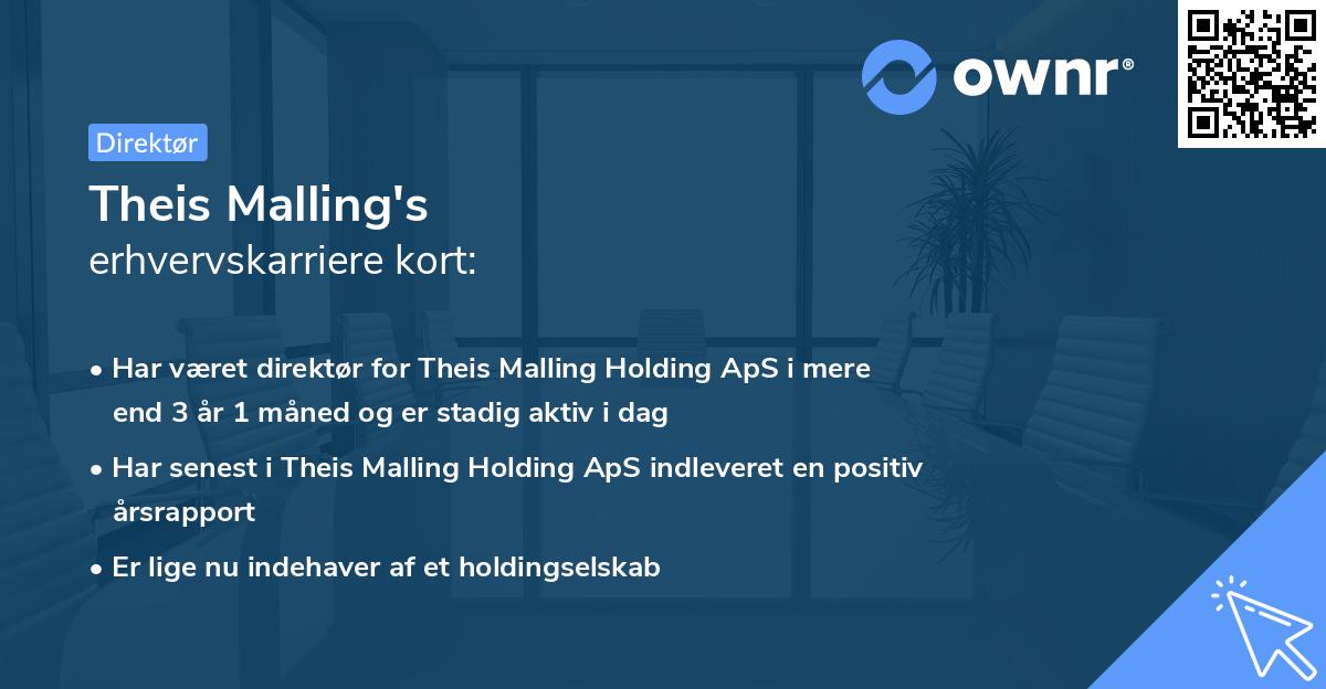 Theis Malling's erhvervskarriere kort