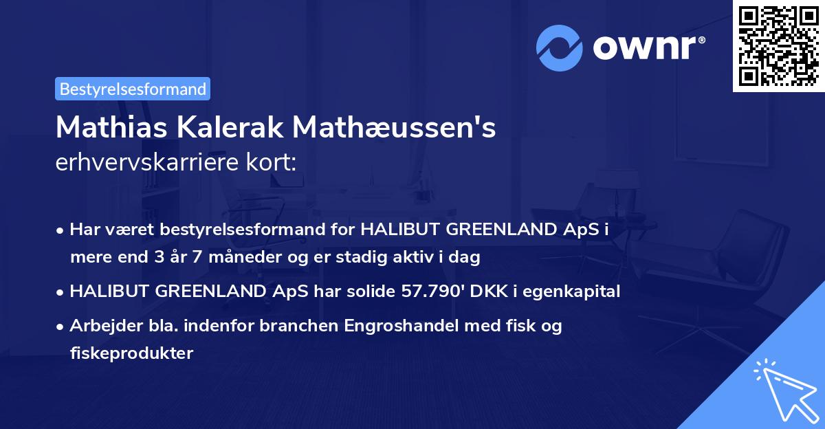 Mathias Kalerak Mathæussen's erhvervskarriere kort