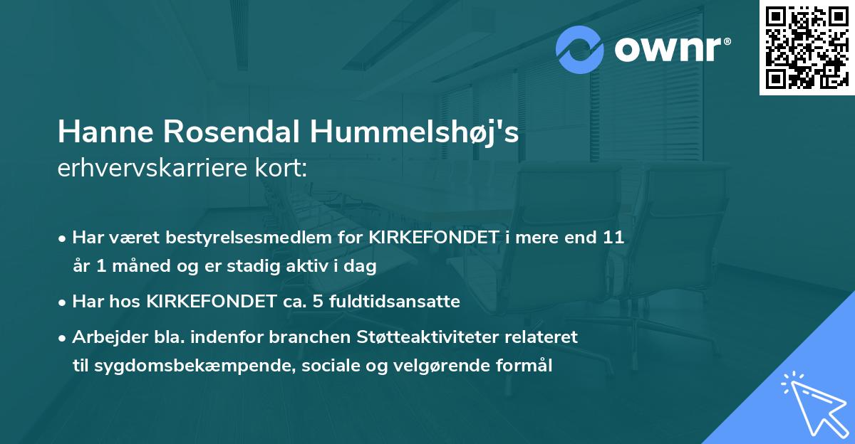 Hanne Rosendal Hummelshøj's erhvervskarriere kort