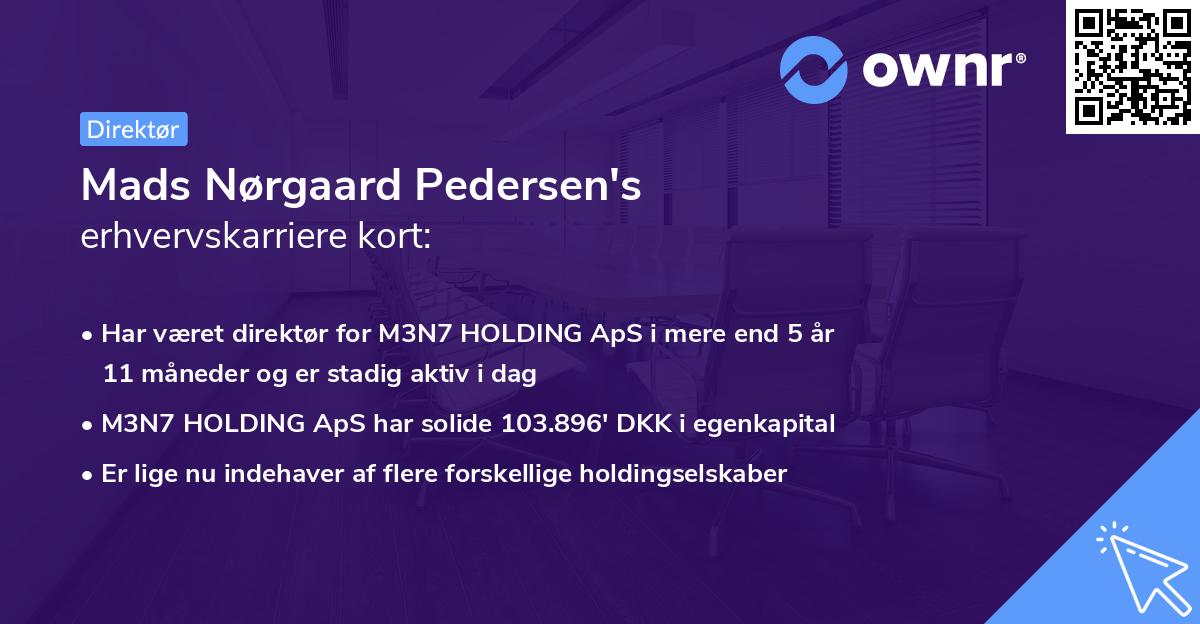 Mads Nørgaard Pedersen's erhvervskarriere kort