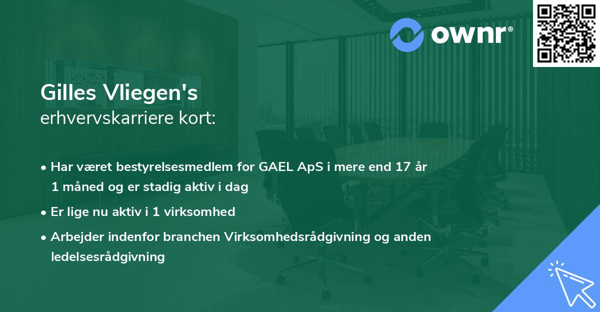 Gilles Vliegen's erhvervskarriere kort