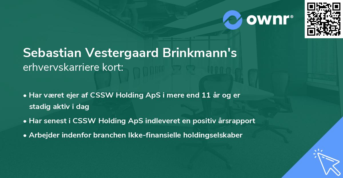 Sebastian Vestergaard Brinkmann's erhvervskarriere kort