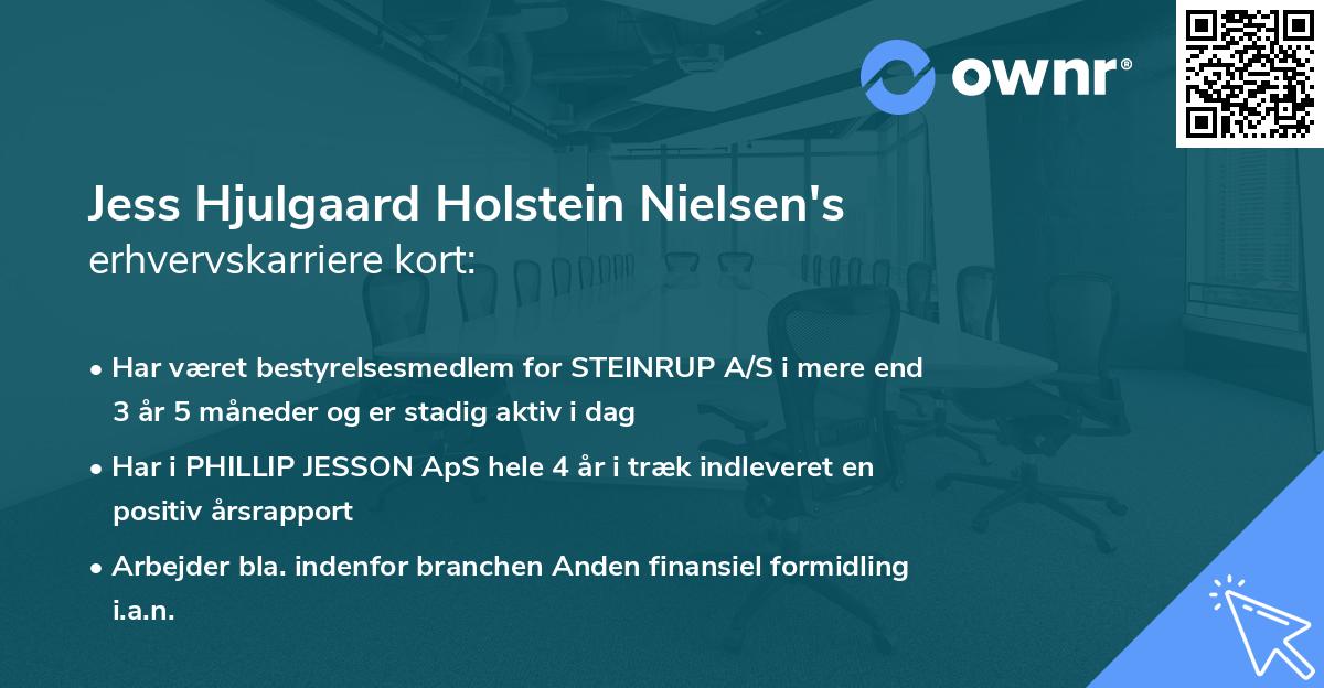 Jess Hjulgaard Holstein Nielsen's erhvervskarriere kort