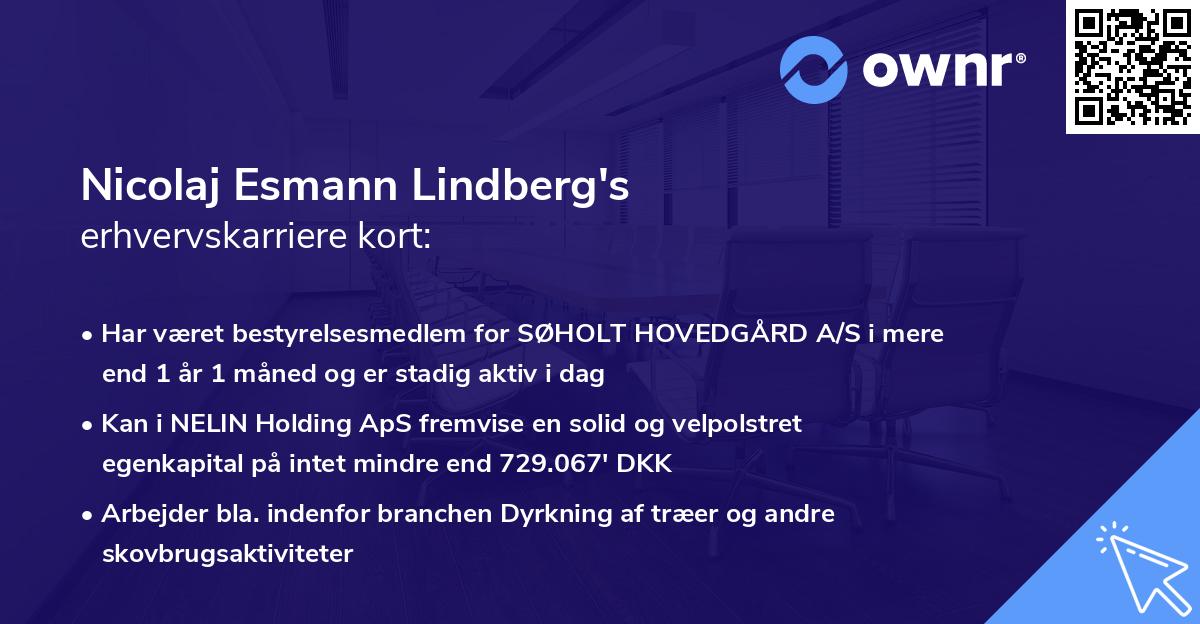 Nicolaj Esmann Lindberg's erhvervskarriere kort
