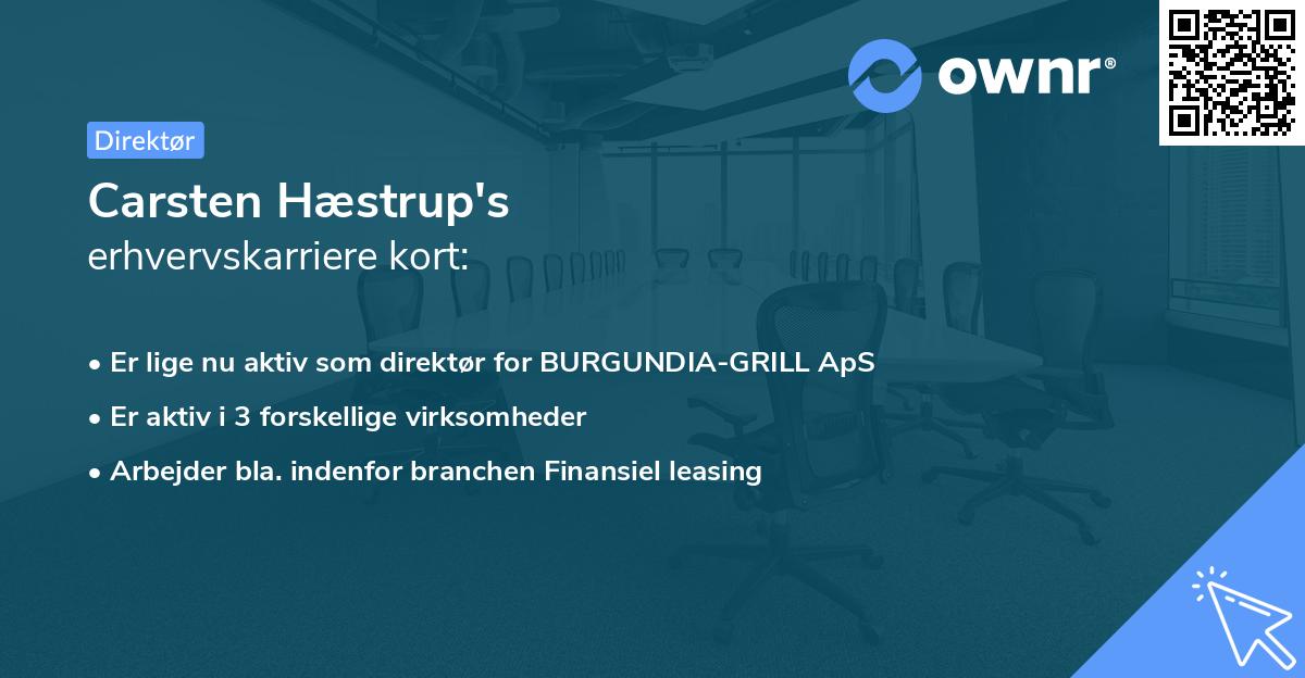 Carsten Hæstrup's erhvervskarriere kort