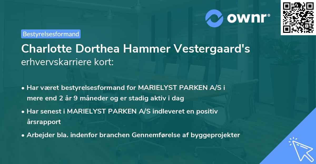 Charlotte Dorthea Hammer Vestergaard's erhvervskarriere kort