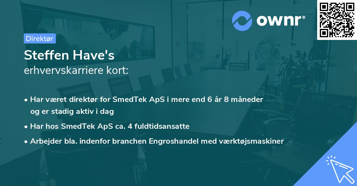 Steffen Have's erhvervskarriere kort