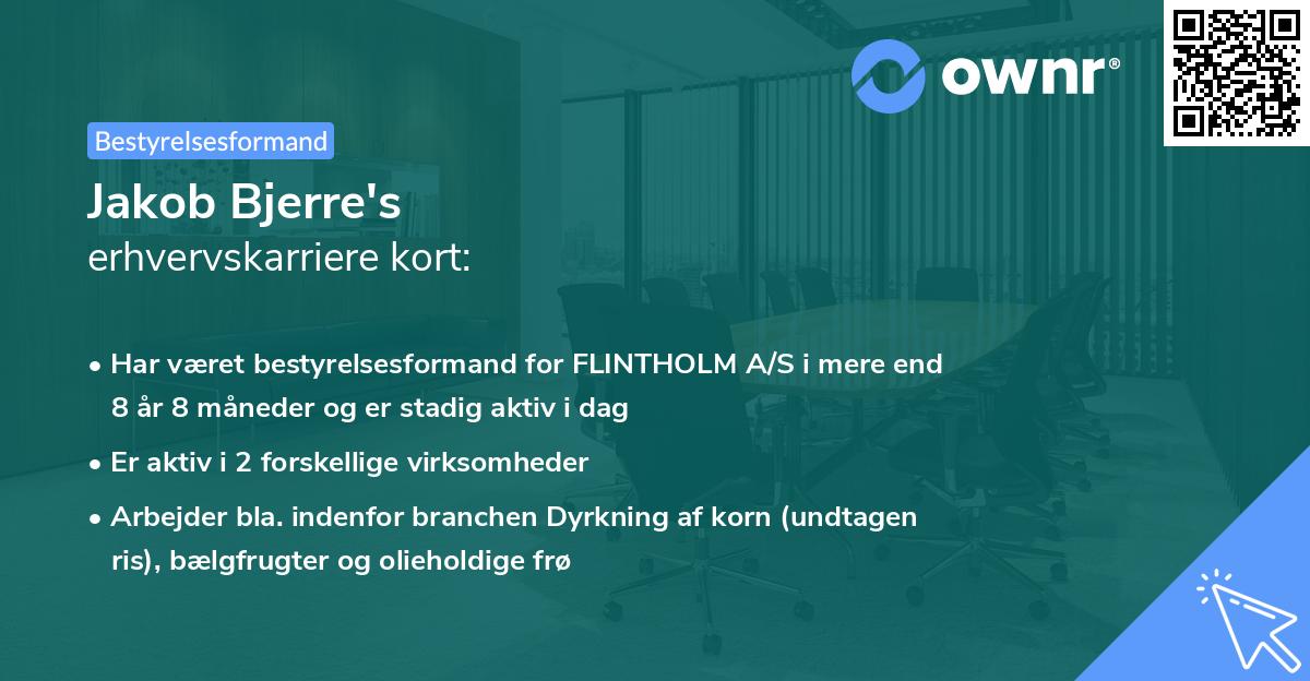 Jakob Bjerre's erhvervskarriere kort