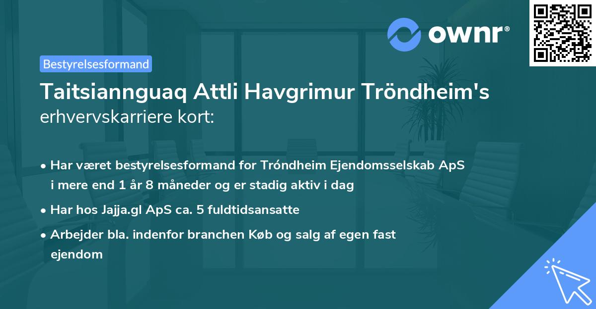 Taitsiannguaq Attli Havgrimur Tröndheim's erhvervskarriere kort