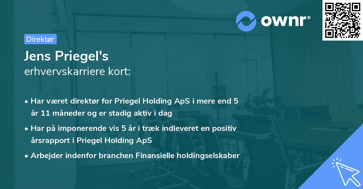 Jens Priegel's erhvervskarriere kort