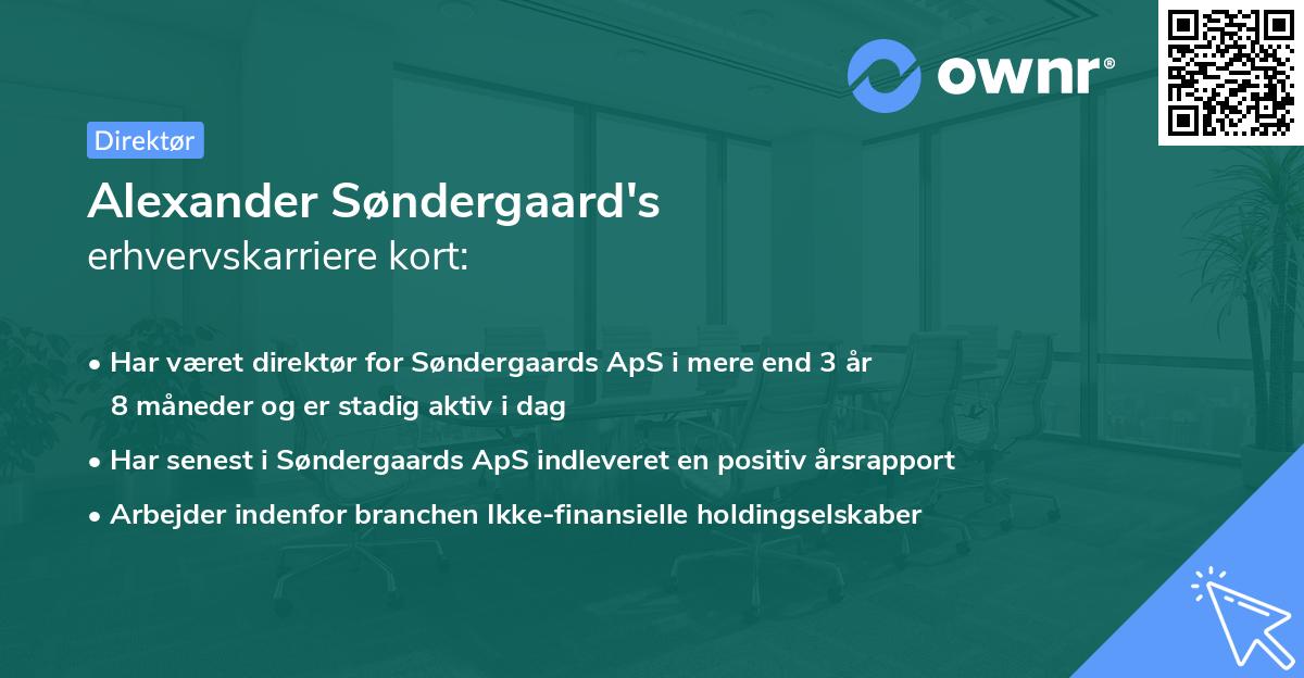 Alexander Søndergaard's erhvervskarriere kort