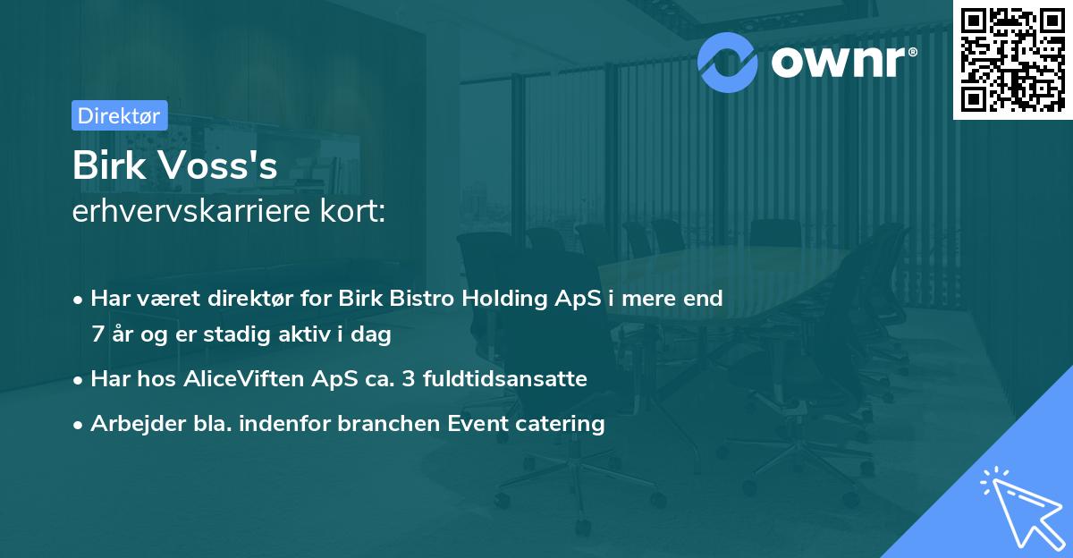 Birk Voss's erhvervskarriere kort