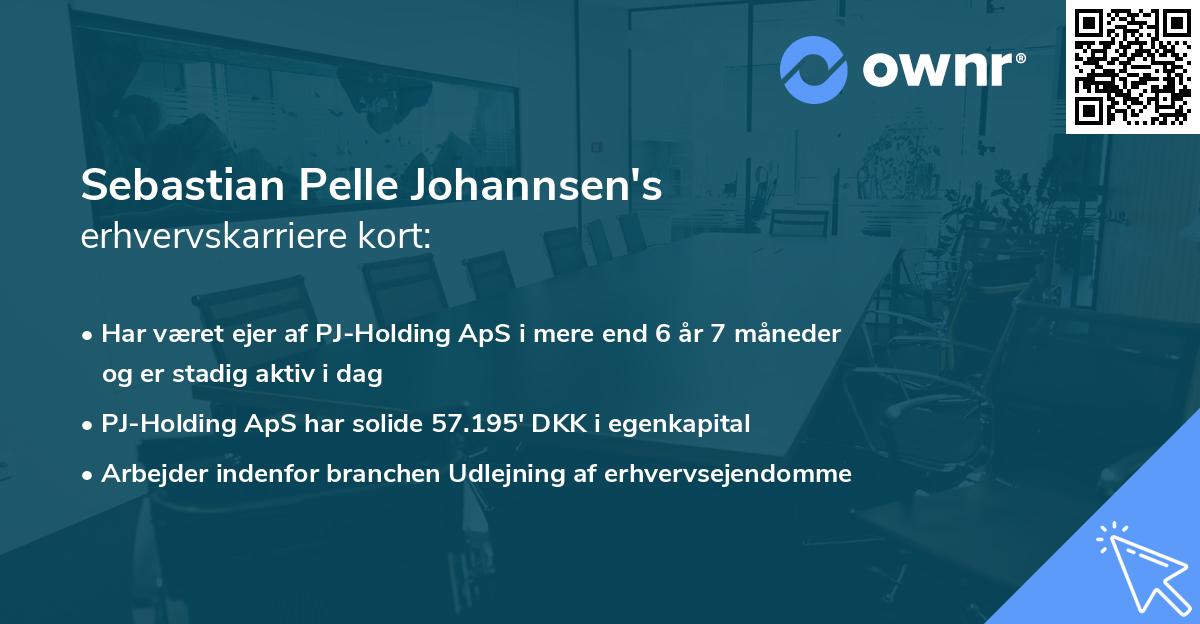 Sebastian Pelle Johannsen's erhvervskarriere kort
