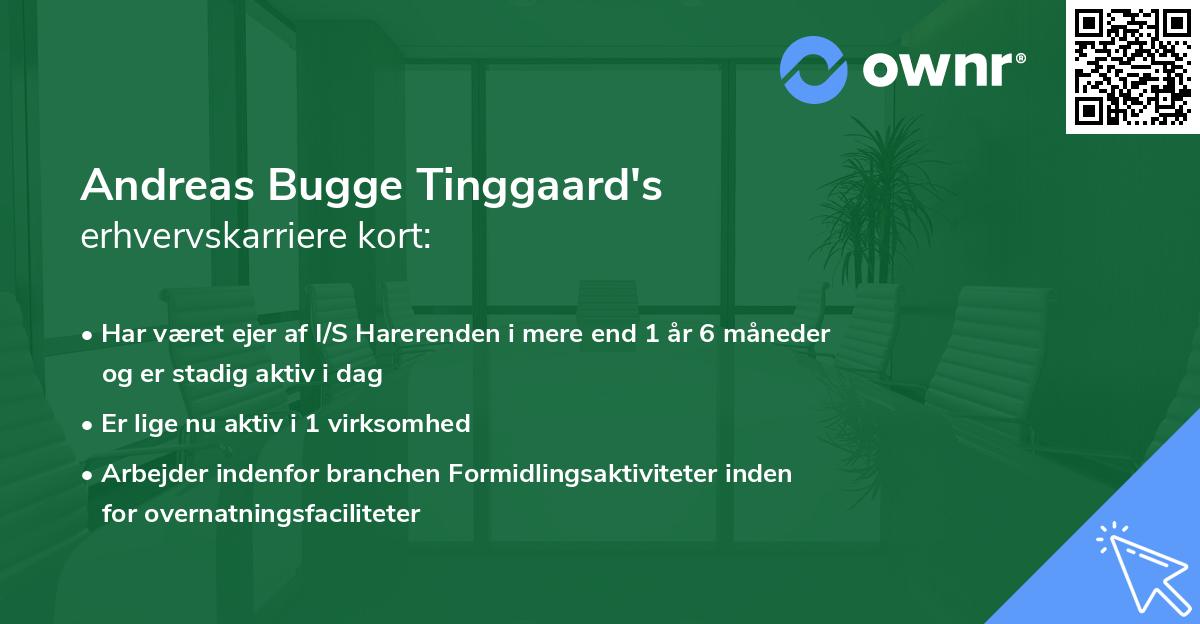 Andreas Bugge Tinggaard's erhvervskarriere kort