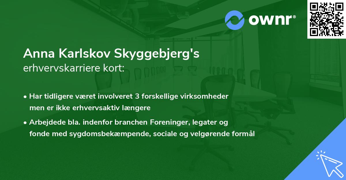 Anna Karlskov Skyggebjerg's erhvervskarriere kort