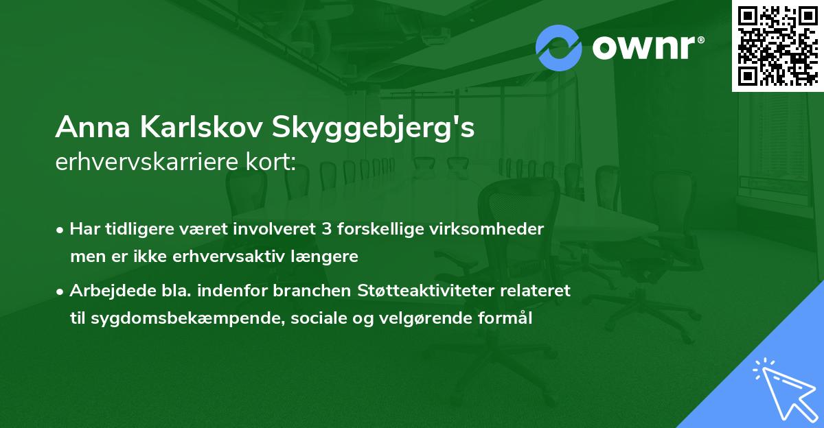 Anna Karlskov Skyggebjerg's erhvervskarriere kort