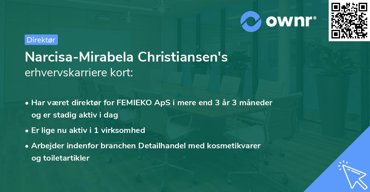Narcisa-Mirabela Christiansen's erhvervskarriere kort