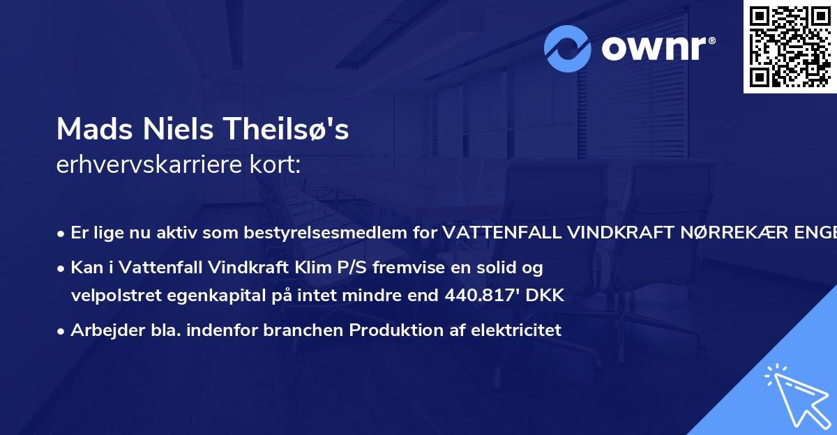 Mads Niels Theilsø's erhvervskarriere kort