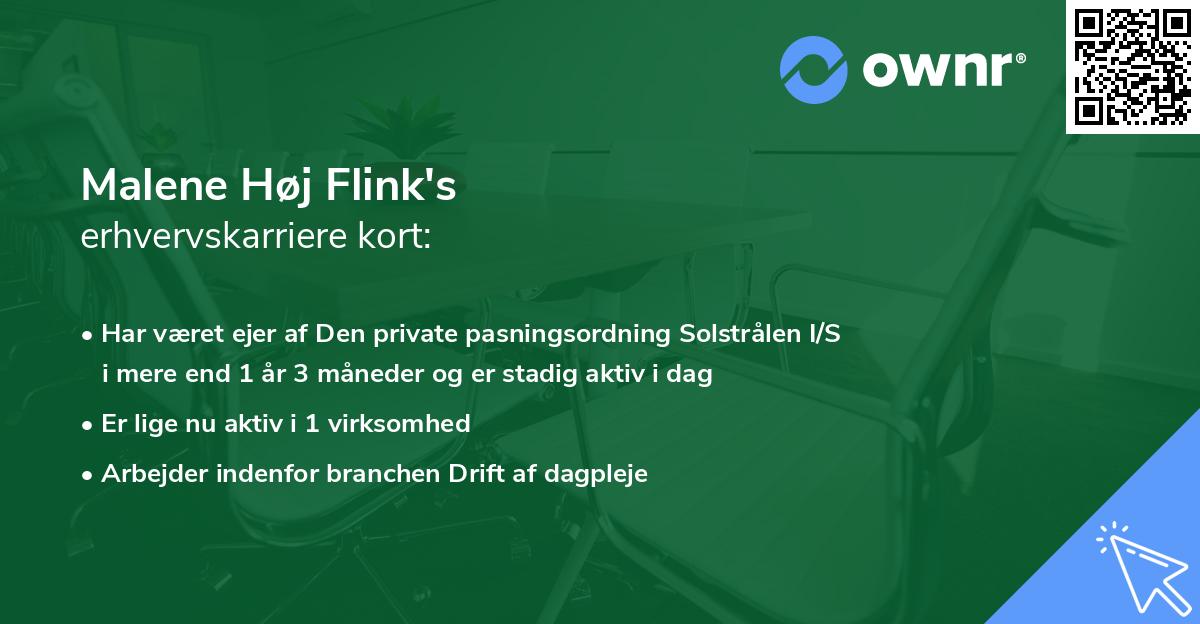 Malene Høj Flink's erhvervskarriere kort