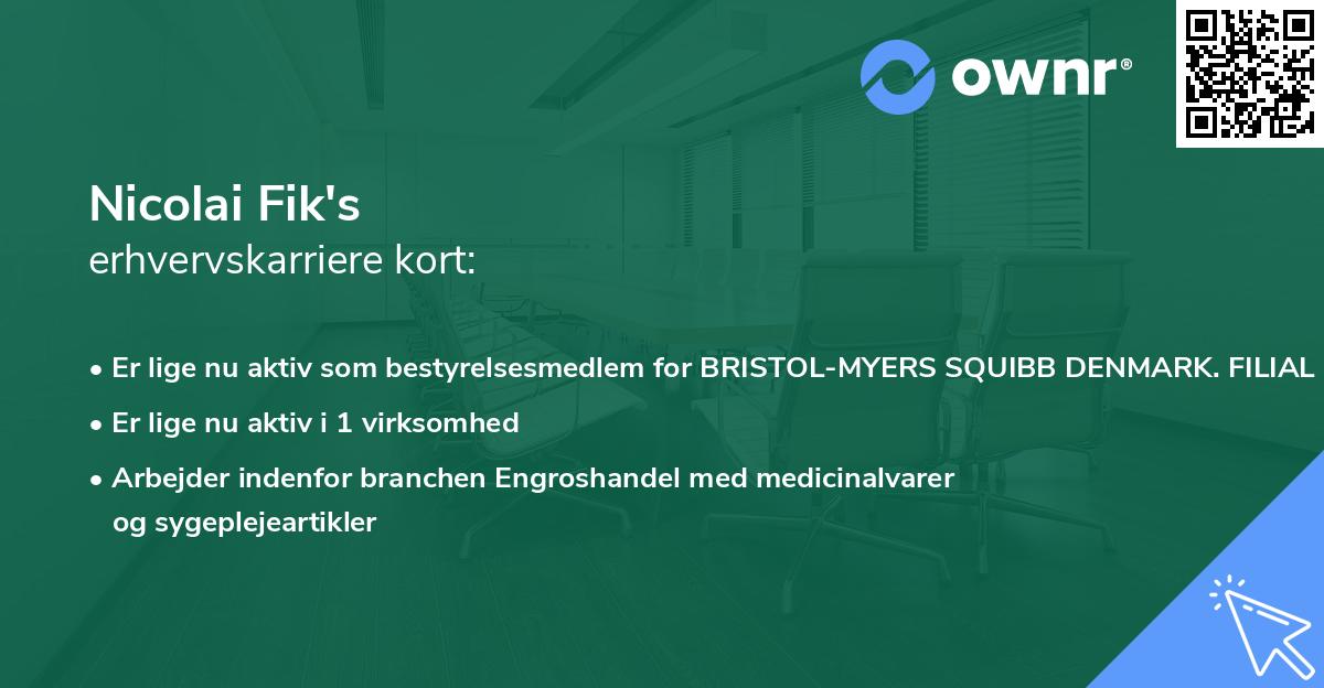 Nicolai Fik's erhvervskarriere kort