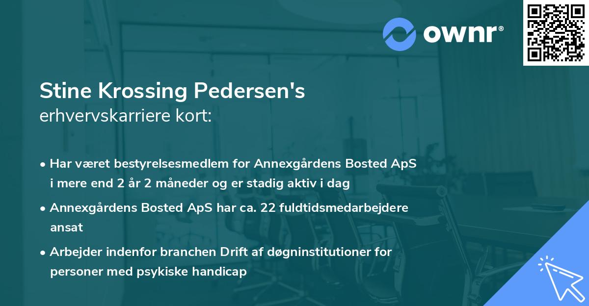 Stine Krossing Pedersen's erhvervskarriere kort