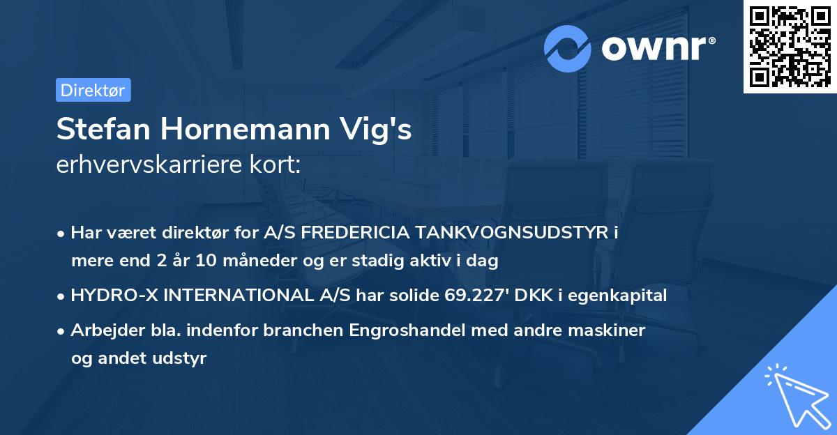 Stefan Hornemann Vig's erhvervskarriere kort