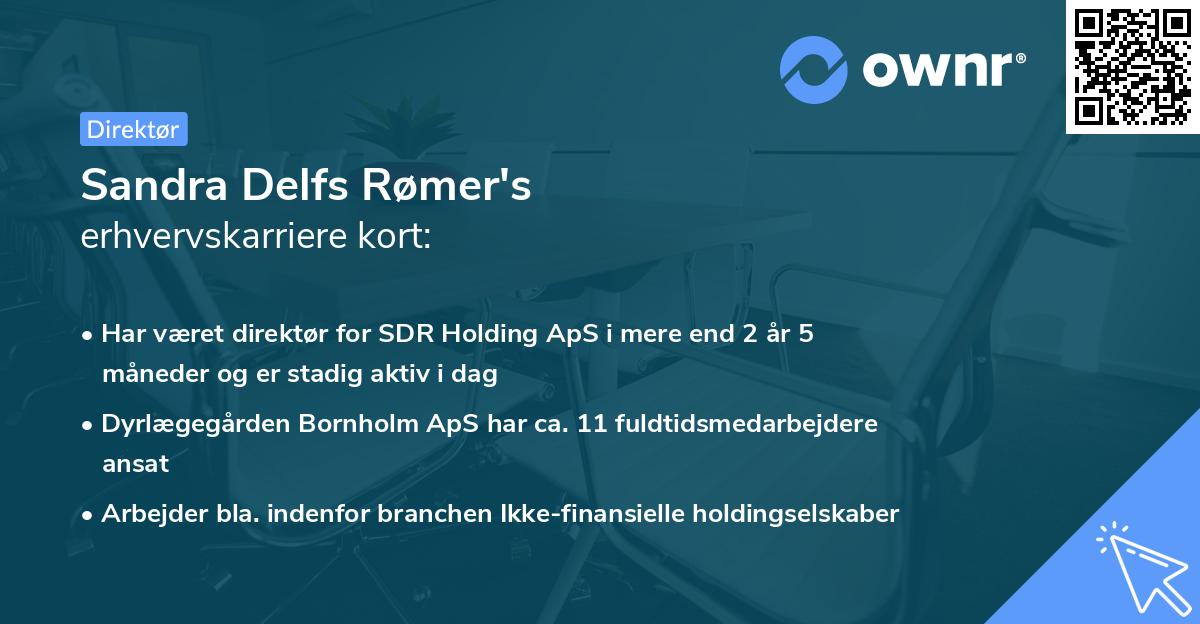 Sandra Delfs Rømer's erhvervskarriere kort