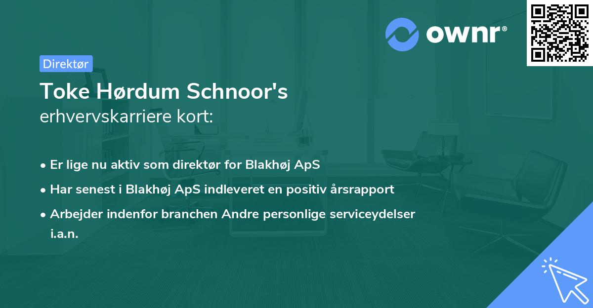 Toke Hørdum Schnoor's erhvervskarriere kort