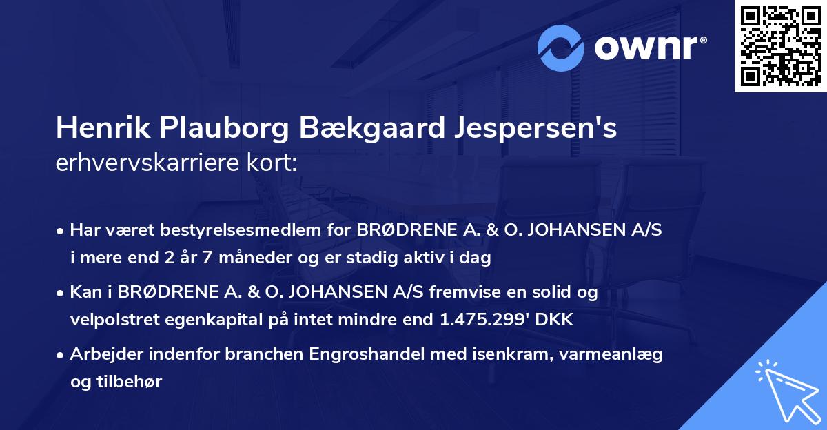 Henrik Plauborg Bækgaard Jespersen's erhvervskarriere kort