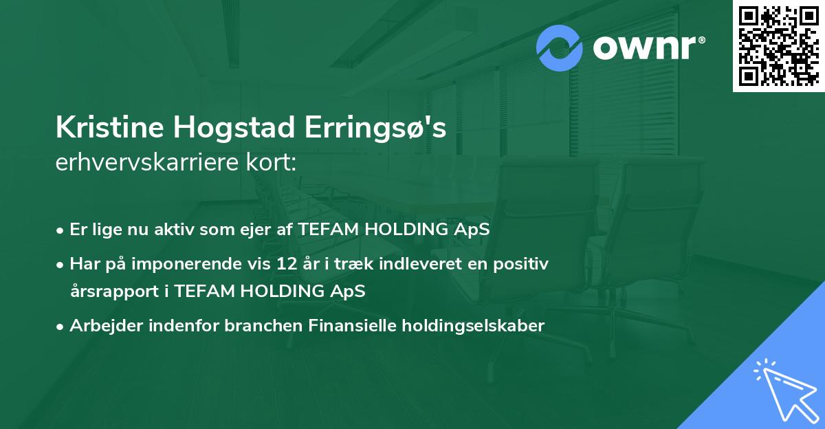 Kristine Hogstad Erringsø's erhvervskarriere kort