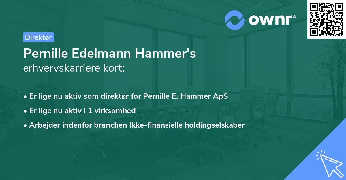 Pernille Edelmann Hammer's erhvervskarriere kort