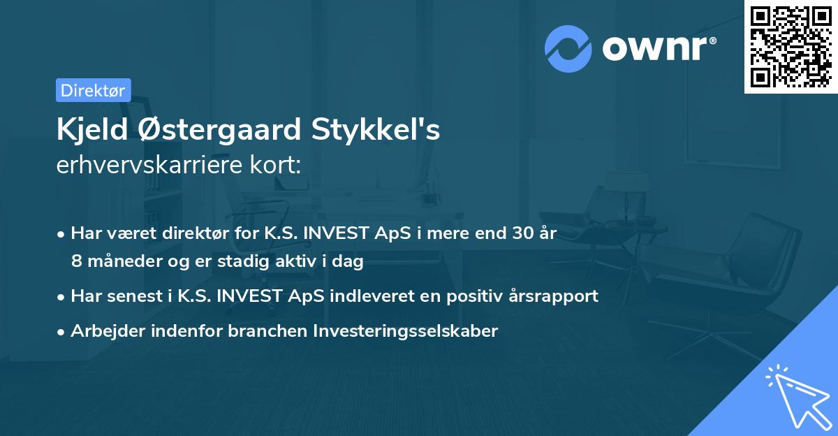 Kjeld Østergaard Stykkel's erhvervskarriere kort