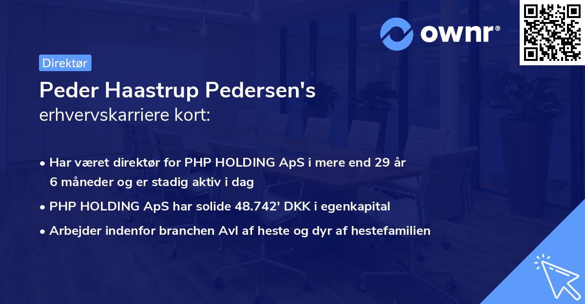 Peder Haastrup Pedersen's erhvervskarriere kort