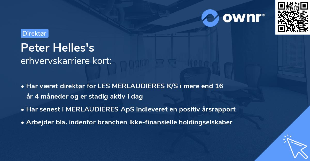 Peter Helles's erhvervskarriere kort